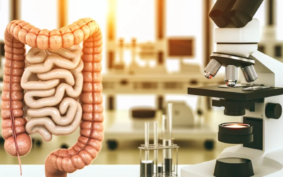 New Research Reveals How Eosinophils May Drive IBD Inflammation Through Oxidative Stress