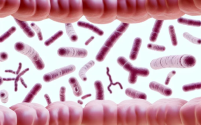 New Research Links Early IBD Development to Gut Bacteria Changes: What This Means for Patients