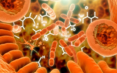 New Research Reveals How Gut Lining and Immune System Communicate in IBD