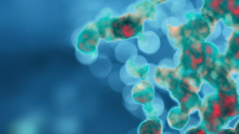 New Research Reveals Promising Regulatory T Cell Therapy Approaches for IBD Treatment