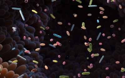 Could Your Cholesterol Medication Help Your IBD? New Research Reveals Surprising Connection