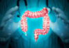 New Research Reveals How IBD Creates Lasting Changes That May Increase Cancer Risk