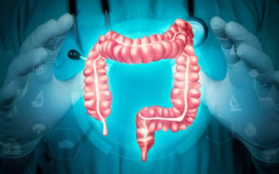 New Research Reveals How IBD Creates Lasting Changes That May Increase Cancer Risk