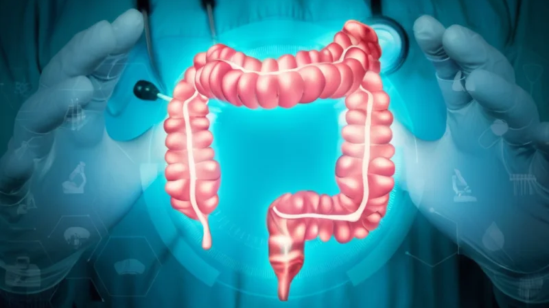 New Research Reveals How IBD Creates Lasting Changes That May Increase Cancer Risk